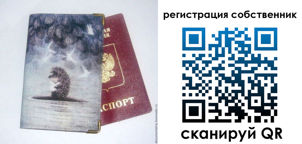 регистрация в Чаплыгине